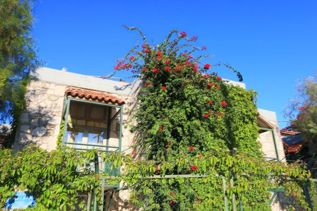Green House Apart Hotel Gümbet Dış mekan fotoğraf